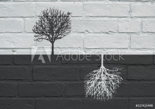 Bild på Urban art Black and white trees